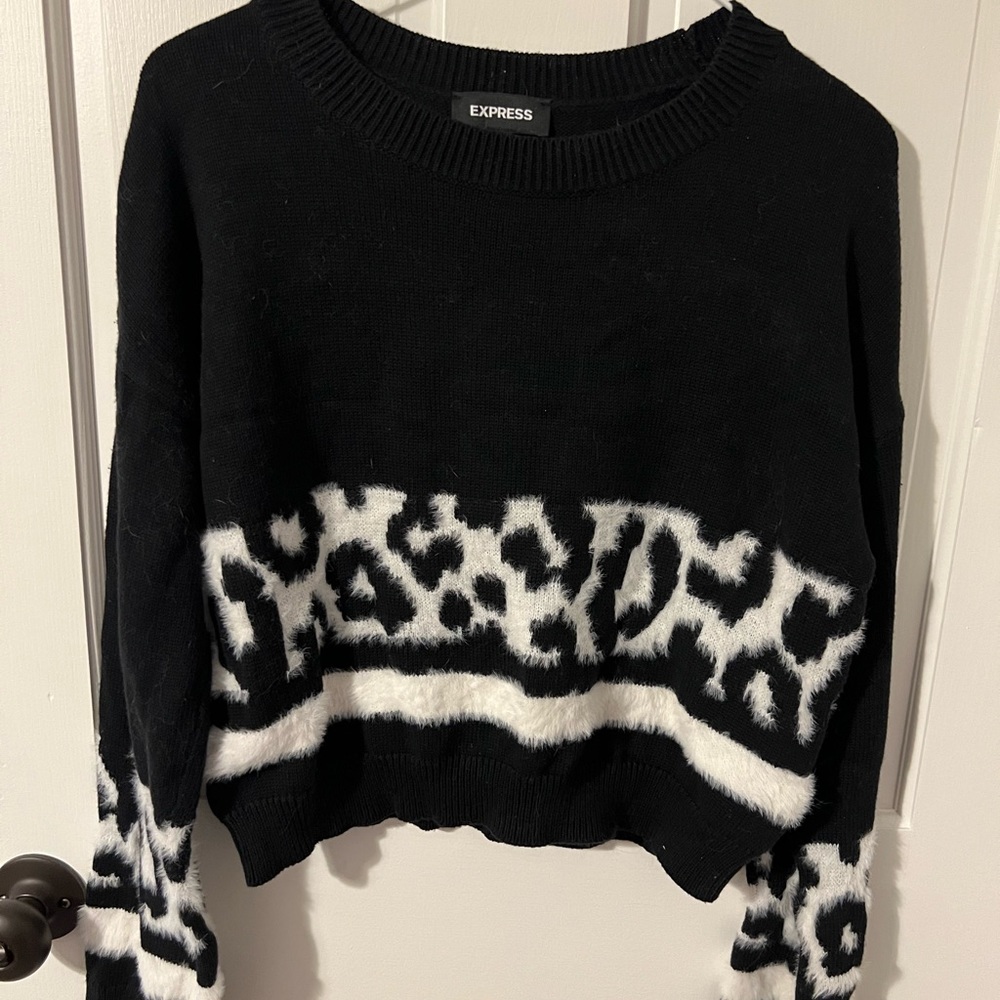 Express sweater
